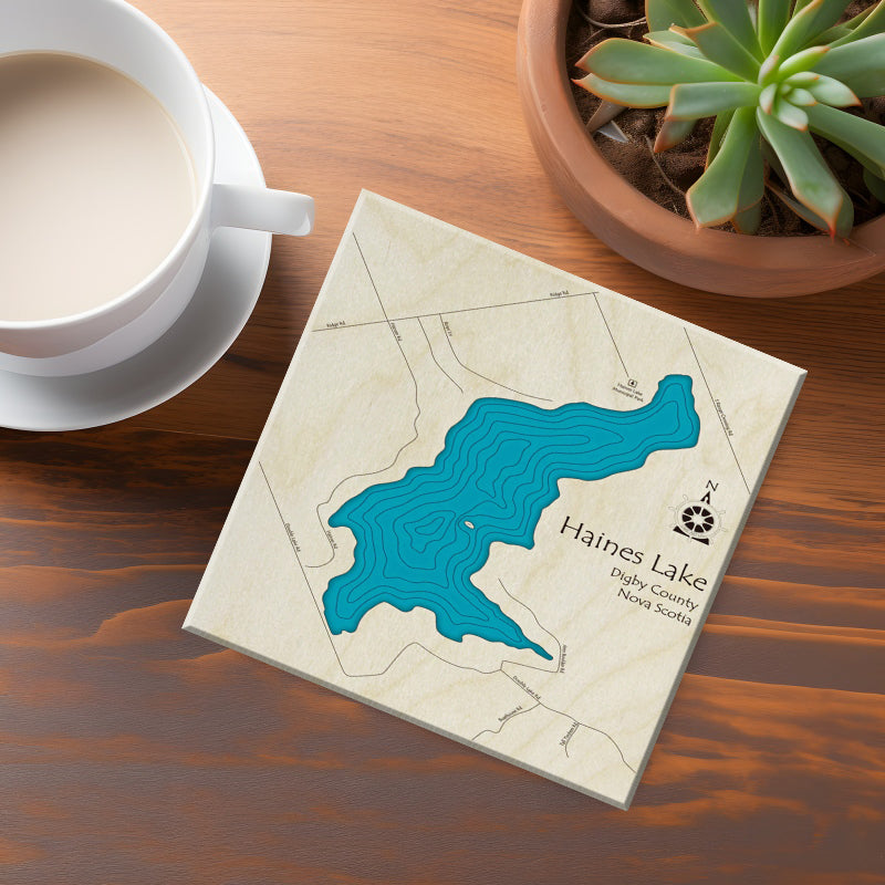Haines Lake NS Map Coasters