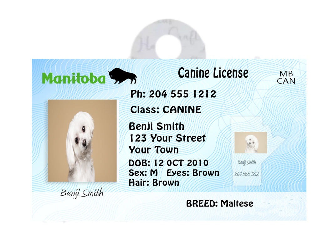 Manitoba Pet Tags