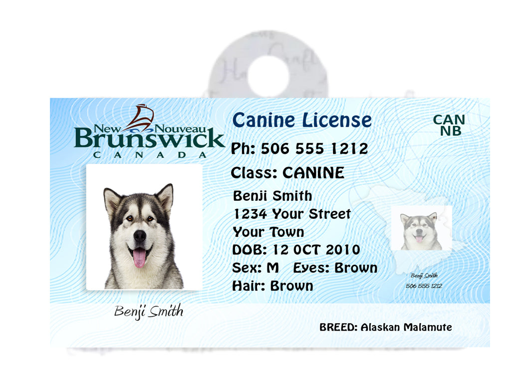 New Brunswick Pet Tags