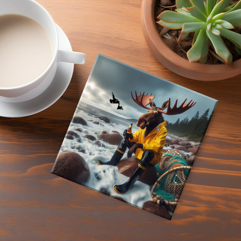 Newfoundland & Labrador Moose Coaster