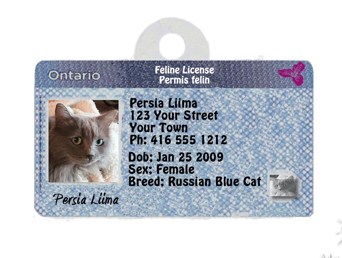 Ontario Pet Tags