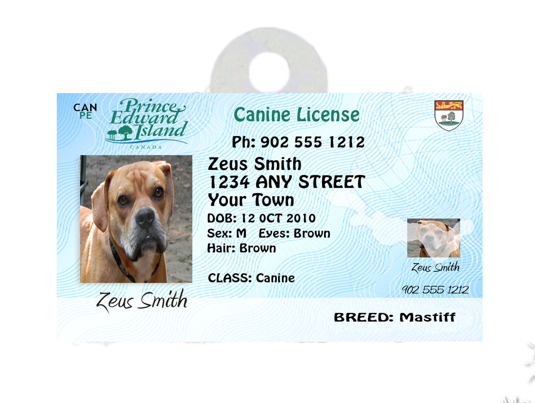 Prince Edward Island Pet Tags