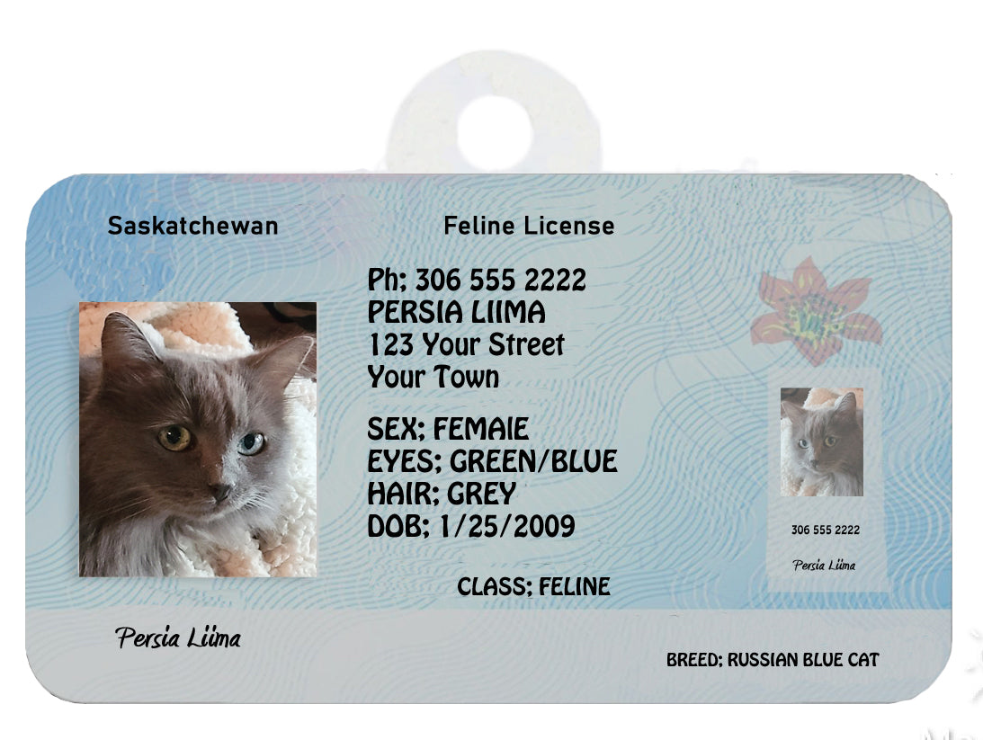 Saskatchewan Pet Tags