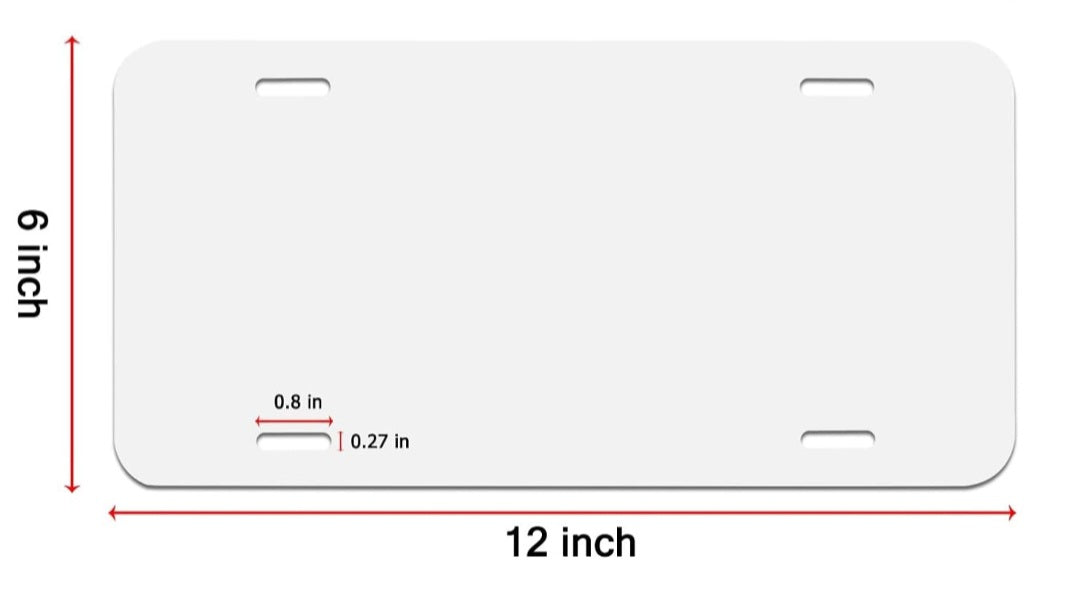 Badger License Plate