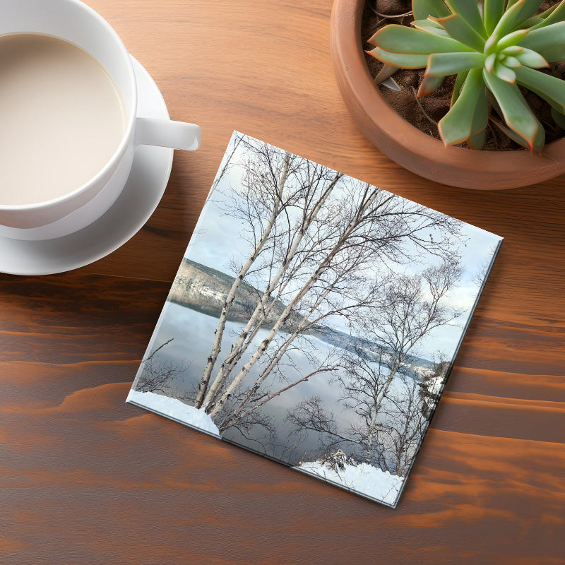 Bay D'Espoir Coaster