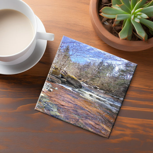 South Branch Coaster