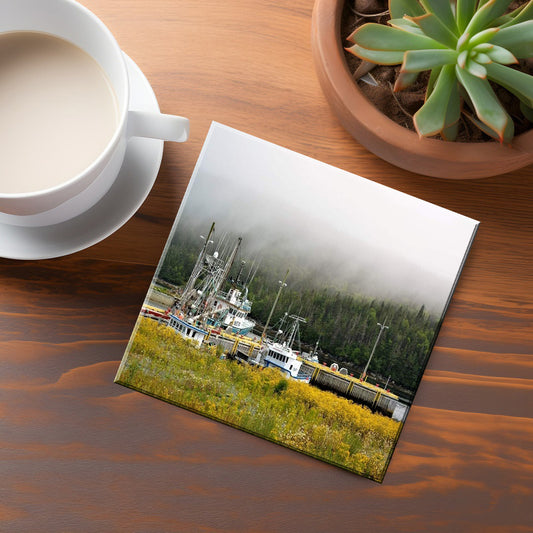 Aquaforte Coaster