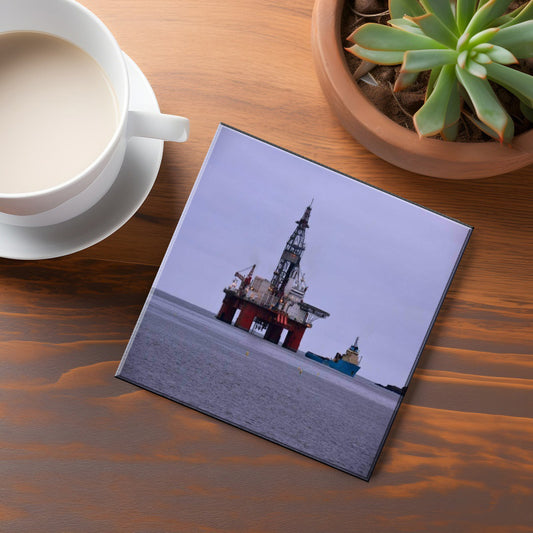 Bay Bulls Coaster