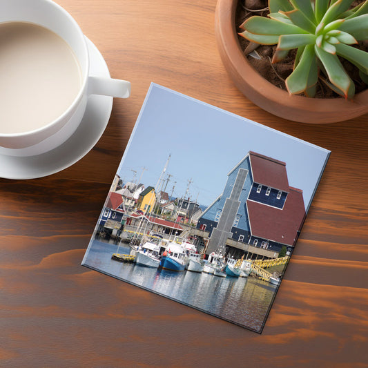 Bonavista Coaster