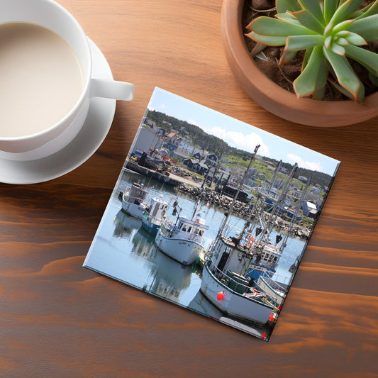 Bonavista Coaster