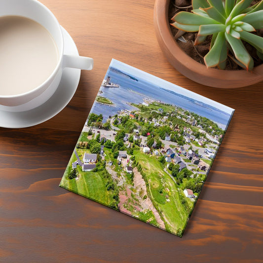 Conception Bay South Coaster