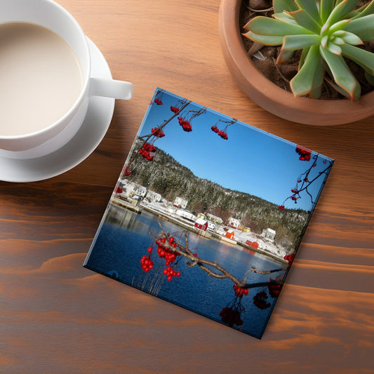 Little Bay Islands Coaster