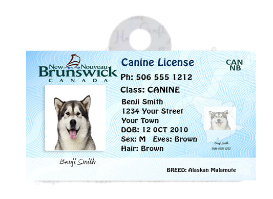 New Brunswick Pet Tags