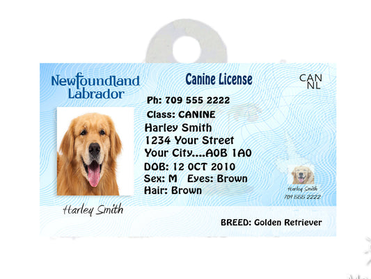 Newfoundland & Labrador Pet Tags