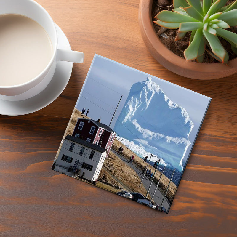 Bay Of Islands Coaster