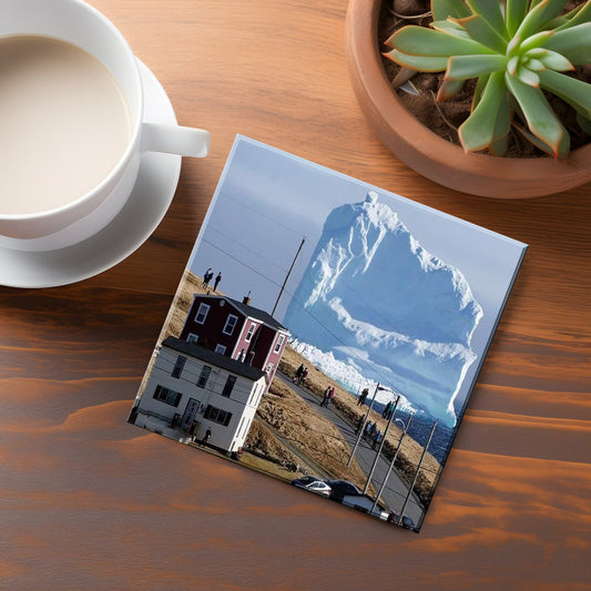 Bay Of Islands Coaster